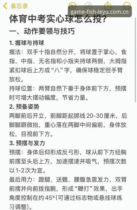 乐鱼体育平台体验评测：新手必看的5个关键操作技巧